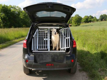 Regelmatig een hond vervoeren in je auto, maakt dat je auto minder waard?