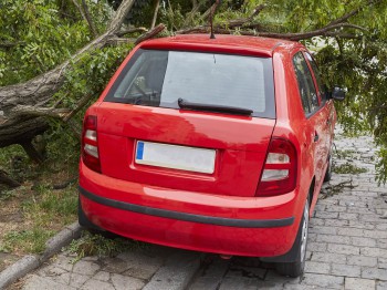 Poolse auto naar de Nederlandse autosloperij, kan dat?