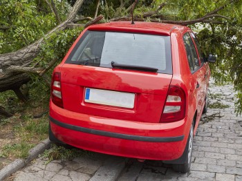 Kan ik mijn Poolse auto naar een Nederlandse autosloperij brengen?